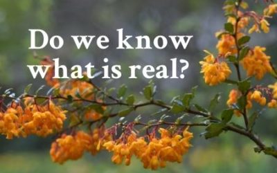 Do We Know What Is Real?
