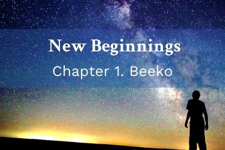 New Beginnings Book – Chapter 1. Beeko