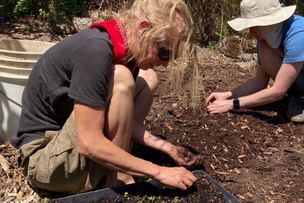 Megan replanting plants at the Abundant Grace Farms