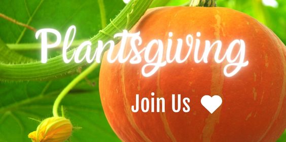 Plantsgiving banner