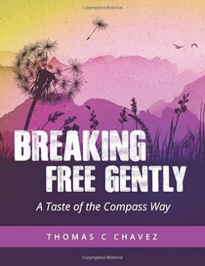 Breaking Free Gently Book Cover